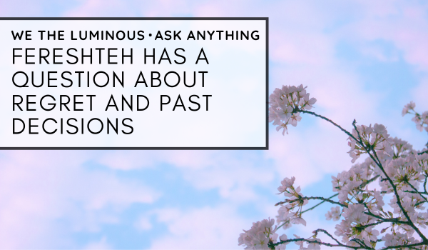 Fereshteh has a question about regret and past decisions