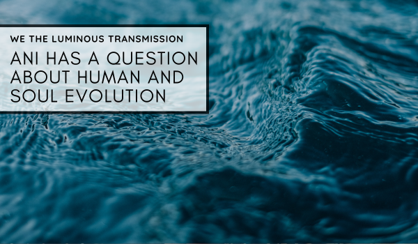 Ani has a question about human and soul evolution
