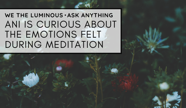 Ani is curious about the emotions felt during meditation